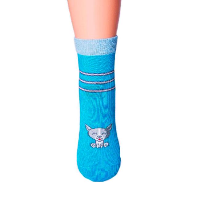 foto шкарпетки дитячі giulia ksl-002 calzino-blue р.18