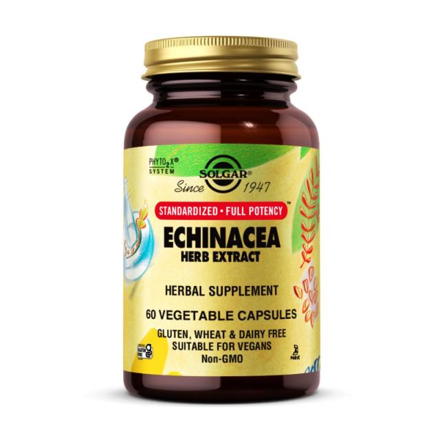 foto харчова добавка в капсулах solgar echinacea herb extract рослинний екстракт ехінацеї, 60 шт