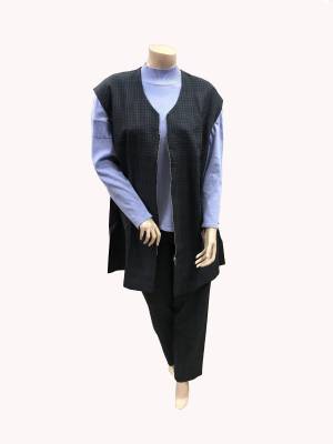 Podrobnoe foto женский костюм двойка жилет и брюки больших размеров jean-daniel 202739 р 64